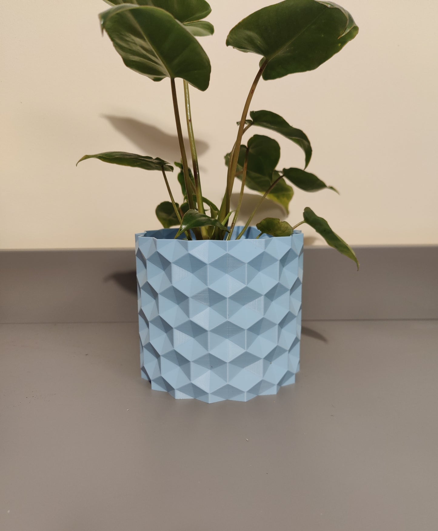 Geometric Cover Pot
