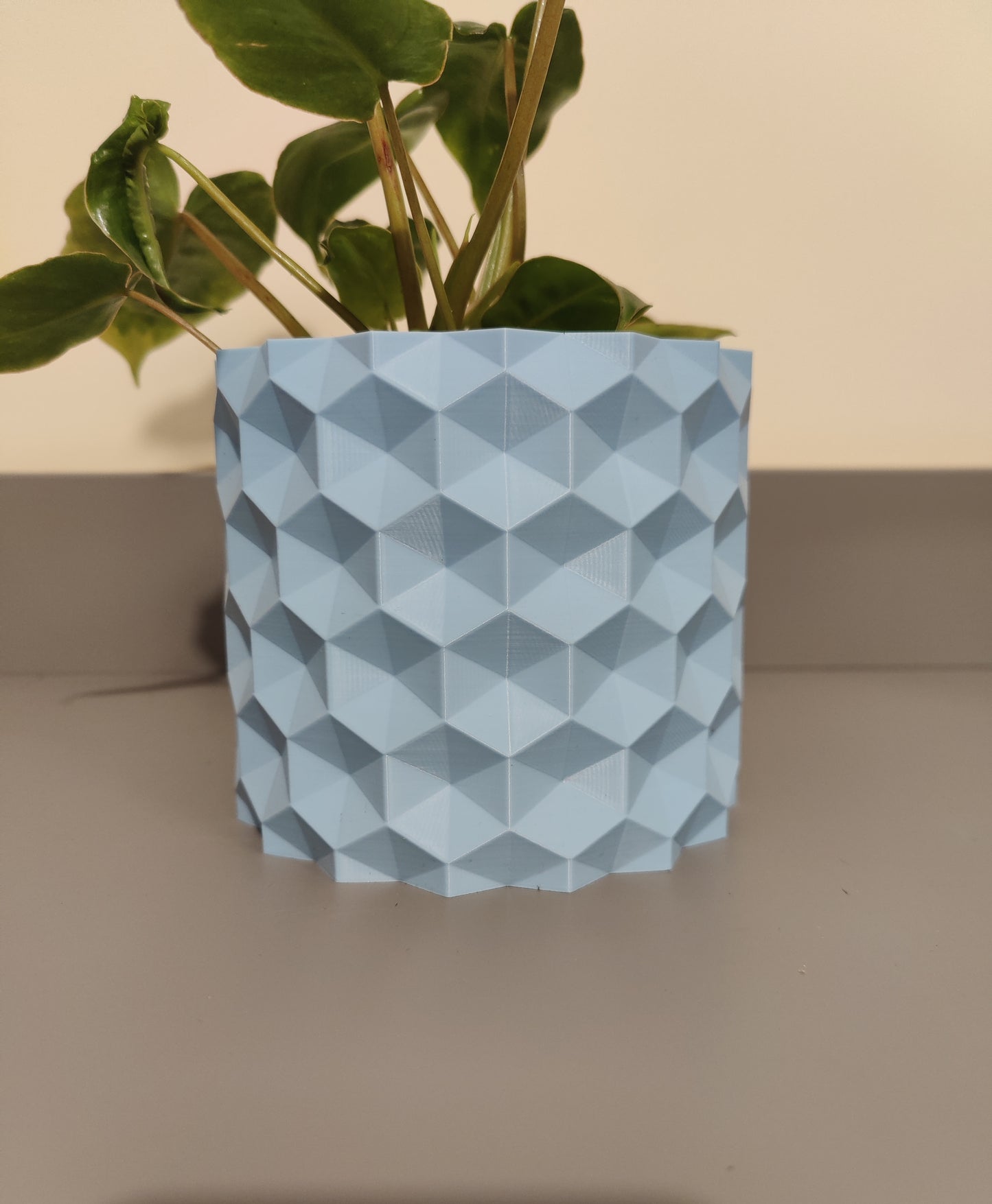 Geometric Cover Pot