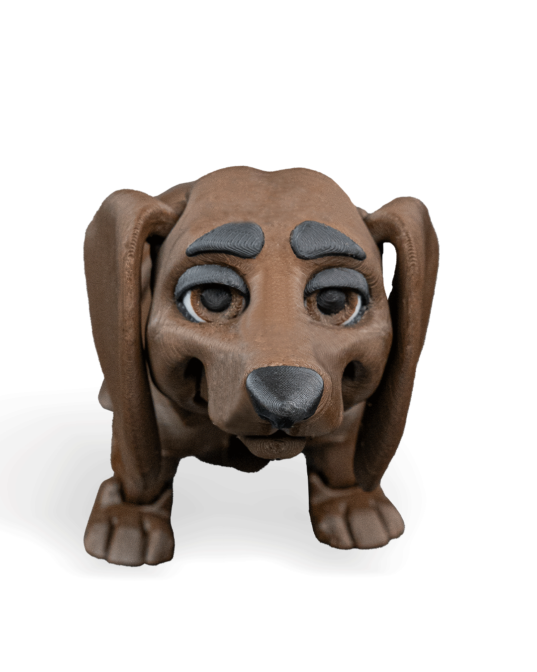 Winston, the Dachshund
