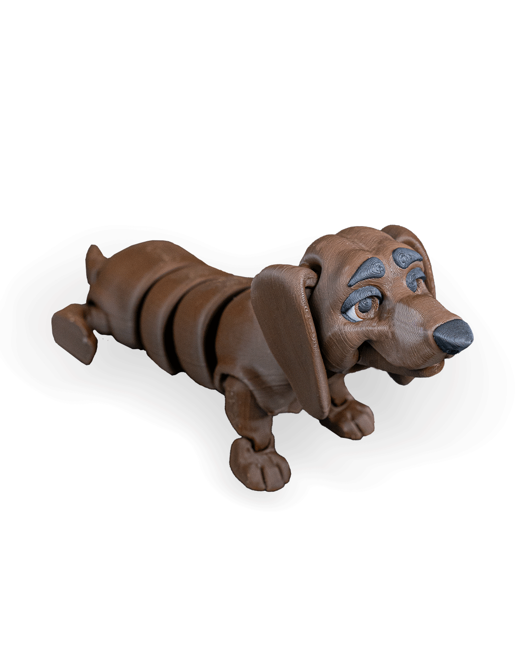 Winston, the Dachshund