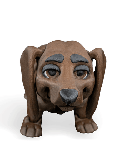 Winston, the Dachshund