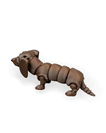 Winston, the Dachshund