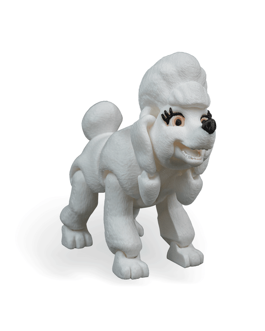 Lizzie, the Poodle