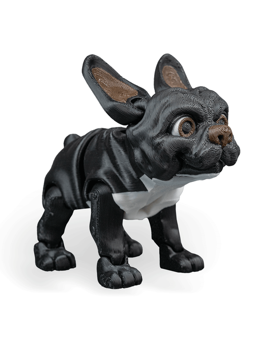 Stella, the French Bulldog