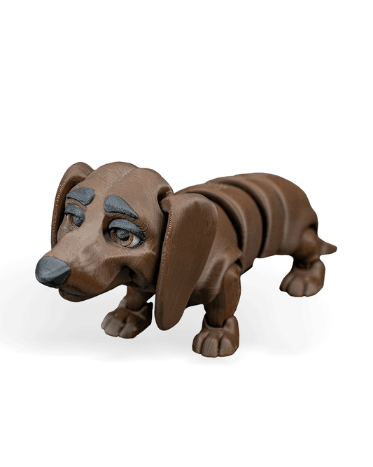 Winston, the Dachshund